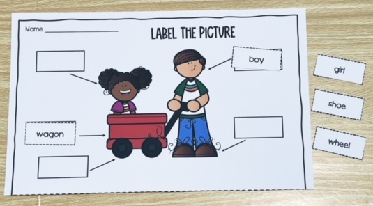 label-the-picture-activity