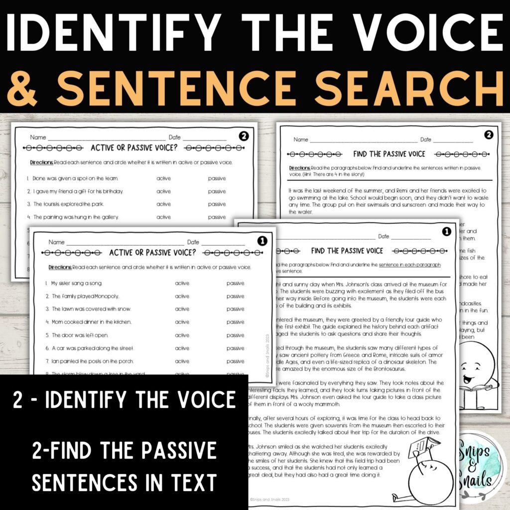 image of active and passive resource worksheets