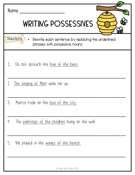 writing sentences with possessive nouns