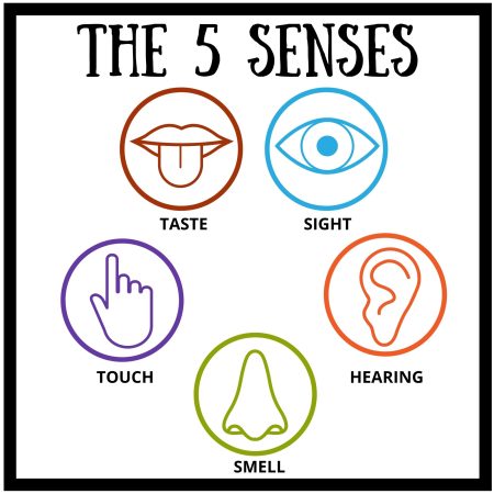 five-senses-poster