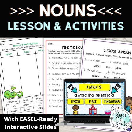 Nouns Lesson and Activities on TpT