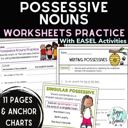 possessive nouns worksheet